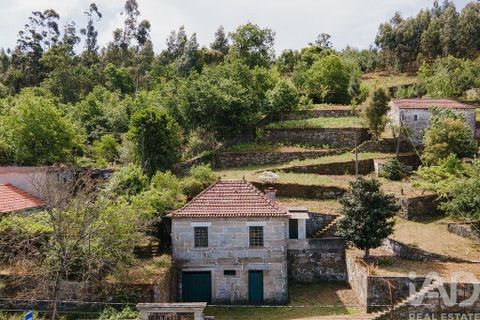 Farm i Cinfaes, Viseu, Cinfaes - € 300.000 | Ref: 873608 - foto 29