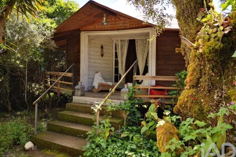 Terrain - Tomar, Santarem, Tomar - € 97 500 | Réf : 907415 - photo 2