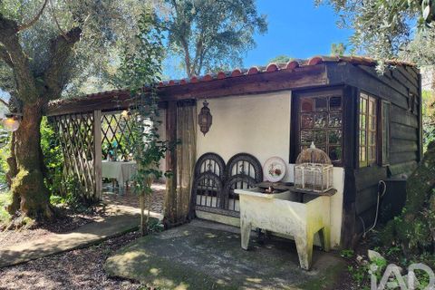 Terrain - Tomar, Santarem, Tomar - € 97 500 | Réf : 907415 - photo 12