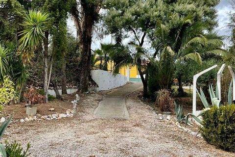 Terrain - Tomar, Santarem, Tomar - € 97 500 | Réf : 907415 - photo 23