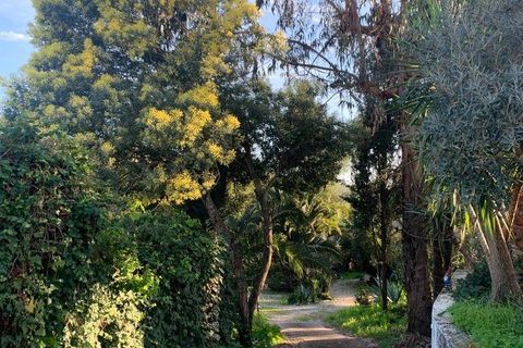 Terrain - Tomar, Santarem, Tomar - € 97 500 | Réf : 907415 - photo 24