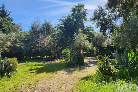 Terrain - Tomar, Santarem, Tomar - € 97 500 | Réf : 907415 - photo 28