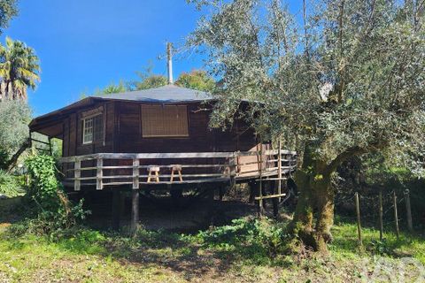 Terrain - Tomar, Santarem, Tomar - € 97 500 | Réf : 907415 - photo 29