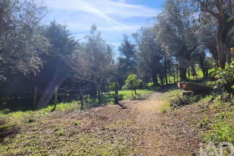 Terrain - Tomar, Santarem, Tomar - € 97 500 | Réf : 907415 - photo 31