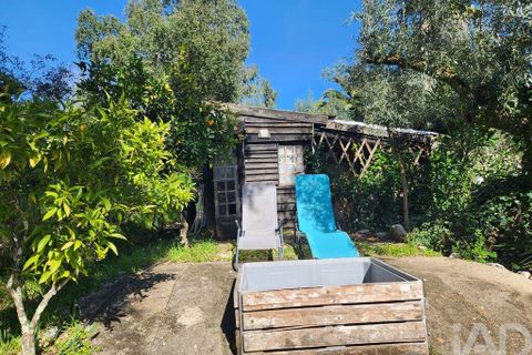 Terrain - Tomar, Santarem, Tomar - € 97 500 | Réf : 907415 - photo 37