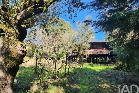 Terrain - Tomar, Santarem, Tomar - € 97 500 | Réf : 907415 - photo 38