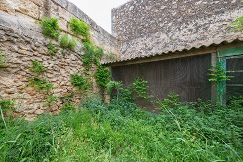 Villa a Sa Pobla, Mallorca, Sa Pobla - € 189.900 | Ref: 08FY002/10961 - foto 14