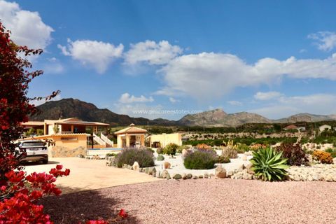 Landejendom i Albatera, Alicante, Albatera - € 540.000 | Ref: PCE-1455 - foto 1