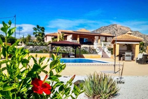 Landejendom i Albatera, Alicante, Albatera - € 540.000 | Ref: PCE-1455 - foto 3