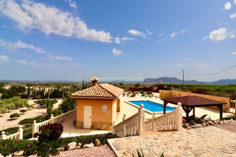 Landejendom i Albatera, Alicante, Albatera - € 540.000 | Ref: PCE-1455 - foto 32