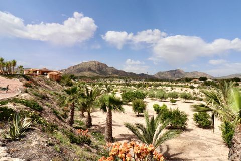 Landejendom i Albatera, Alicante, Albatera - € 540.000 | Ref: PCE-1455 - foto 44
