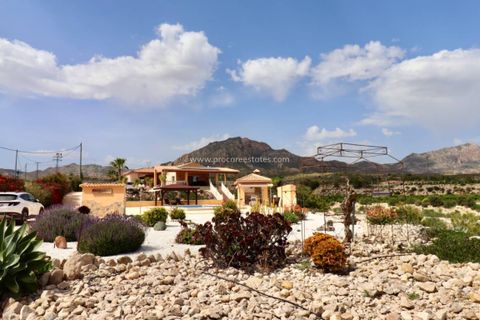 Landejendom i Albatera, Alicante, Albatera - € 540.000 | Ref: PCE-1455 - foto 49