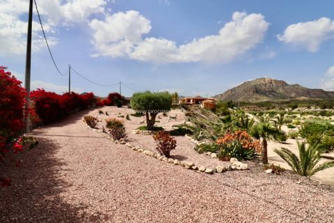Landejendom i Albatera, Alicante, Albatera - € 540.000 | Ref: PCE-1455 - foto 50