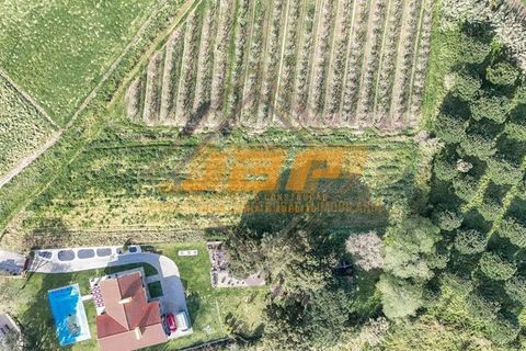 Helårsgrund i Alcobaca, Leiria, Alcobaca - € 110.000 | Ref: 0040 - foto 11