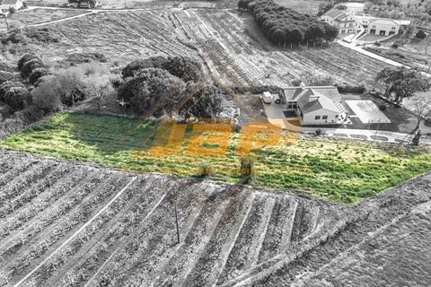 Helårsgrund i Alcobaca, Leiria, Alcobaca - € 110.000 | Ref: 0040 - foto 7