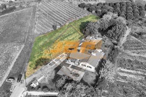 Helårsgrund i Alcobaca, Leiria, Alcobaca - € 110.000 | Ref: 0040 - foto 8
