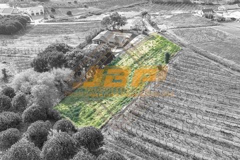 Helårsgrund i Alcobaca, Leiria, Alcobaca - € 110.000 | Ref: 0040 - foto 1