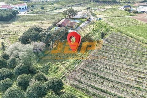 Helårsgrund i Alcobaca, Leiria, Alcobaca - € 110.000 | Ref: 0040 - foto 4