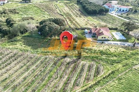 Helårsgrund i Alcobaca, Leiria, Alcobaca - € 110.000 | Ref: 0040 - foto 3