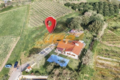 Helårsgrund i Alcobaca, Leiria, Alcobaca - € 110.000 | Ref: 0040 - foto 12
