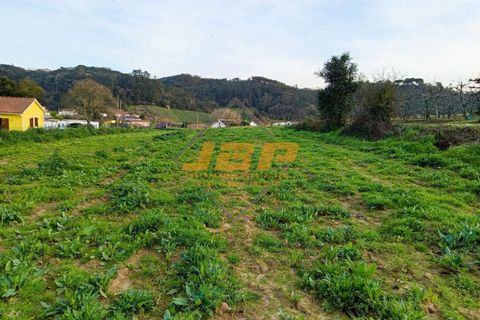 Helårsgrund i Alcobaca, Leiria, Alcobaca - € 110.000 | Ref: 0040 - foto 16