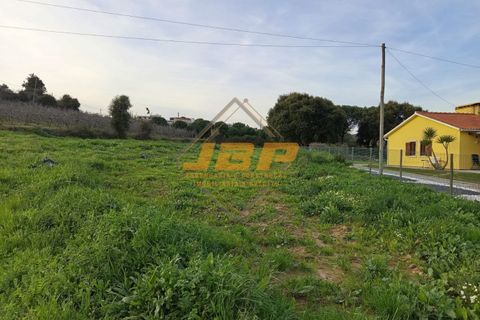Helårsgrund i Alcobaca, Leiria, Alcobaca - € 110.000 | Ref: 0040 - foto 17