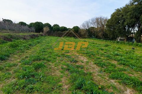 Helårsgrund i Alcobaca, Leiria, Alcobaca - € 110.000 | Ref: 0040 - foto 18