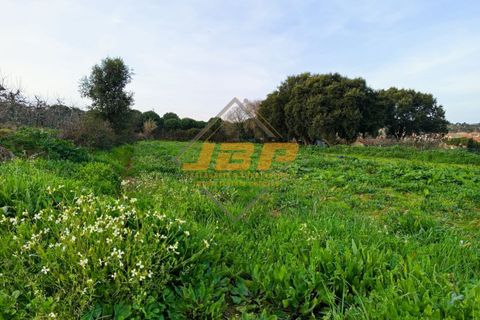 Helårsgrund i Alcobaca, Leiria, Alcobaca - € 110.000 | Ref: 0040 - foto 20