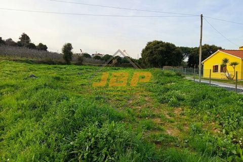 Helårsgrund i Alcobaca, Leiria, Alcobaca - € 110.000 | Ref: 0040 - foto 21