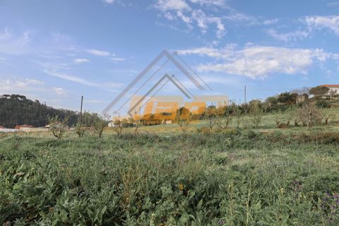 Helårsgrund i Alcobaca, Leiria, Alcobaca - € 110.000 | Ref: 0040 - foto 23