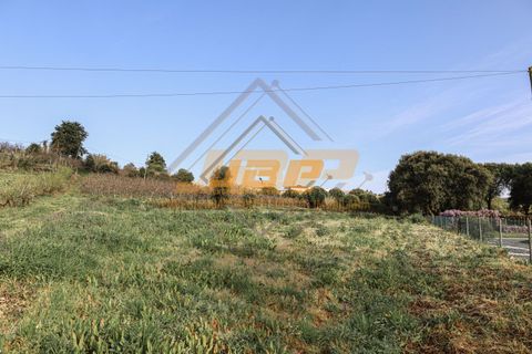 Helårsgrund i Alcobaca, Leiria, Alcobaca - € 110.000 | Ref: 0040 - foto 25
