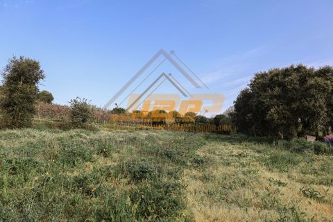 Helårsgrund i Alcobaca, Leiria, Alcobaca - € 110.000 | Ref: 0040 - foto 26