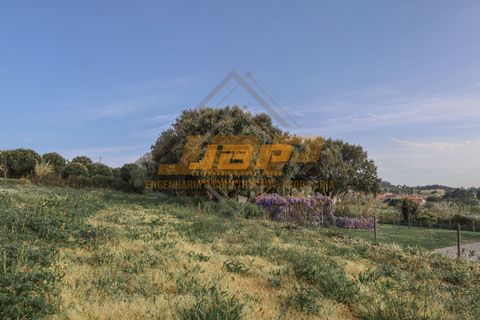 Helårsgrund i Alcobaca, Leiria, Alcobaca - € 110.000 | Ref: 0040 - foto 28