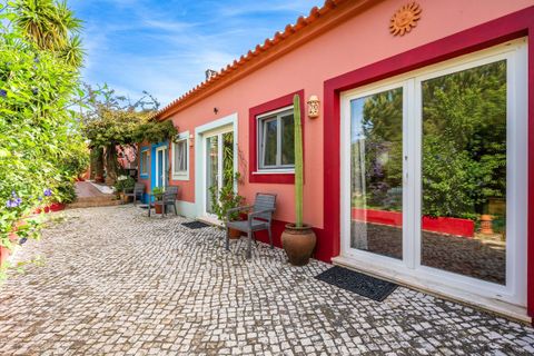Villa i Monchique, Faro, Monchique - € 1.250.000 | Ref: SVP2565 - foto 12