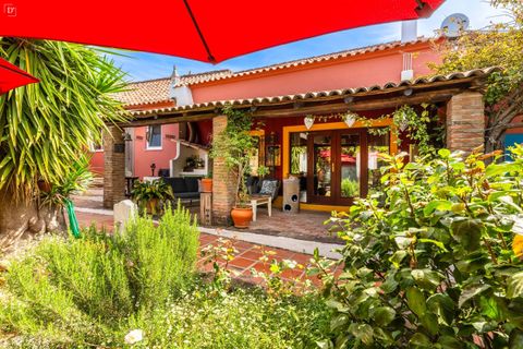 Villa i Monchique, Faro, Monchique - € 1.250.000 | Ref: SVP2565 - foto 5