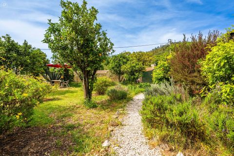 Villa i Monchique, Faro, Monchique - € 1.250.000 | Ref: SVP2565 - foto 35