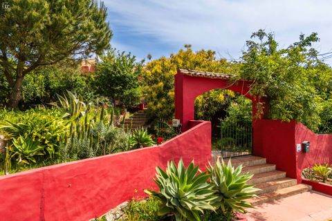 Villa i Monchique, Faro, Monchique - € 1.250.000 | Ref: SVP2565 - foto 49