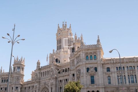 Leilighet i Madrid, Madrid, Madrid - € 3 690 000 | Ref: MAD68502 - foto 13