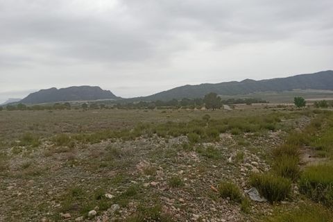 Helårsgrund i Salinas, Alicante, Salinas - € 75.000 | Ref: P5458 - foto 5