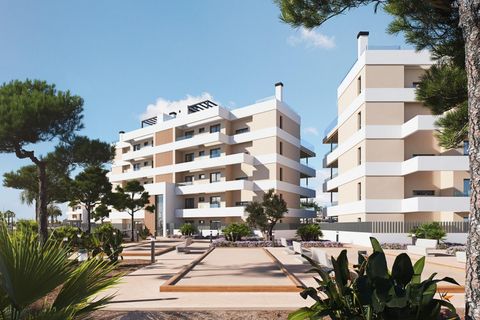 Lejlighed i Torre Pacheco, Murcia, Torre Pacheco - € 336.000 | Ref: NB-72439 - foto 19