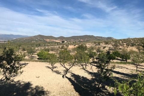 Finca i Lorca, Murcia, Lorca - € 374.995 | Ref: SM88496Q - foto 12