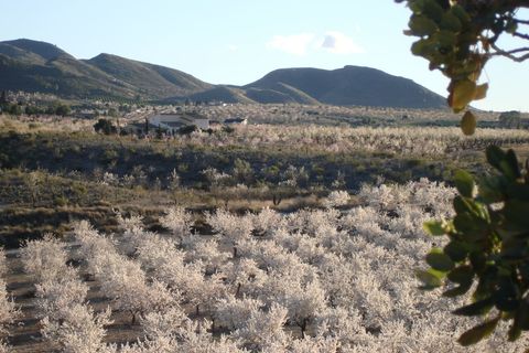 Finca i Lorca, Murcia, Lorca - € 374.995 | Ref: SM88496Q - foto 27