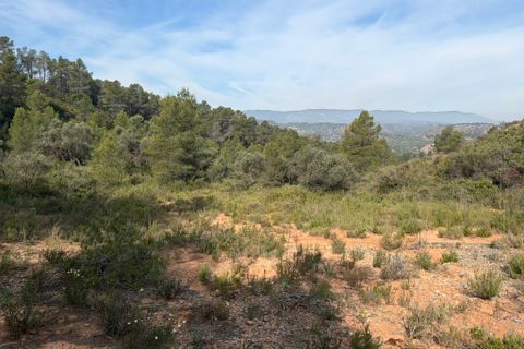 Terra a Asco, Tarragona, Asco - € 9.000 | Ref: Asc09jes - foto 2