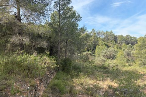 Terra a Asco, Tarragona, Asco - € 9.000 | Ref: Asc09jes - foto 4