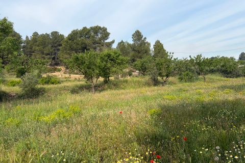 Finca i Asco, Tarragona, Asco - € 23.500 | Ref: Asc08jes - foto 10