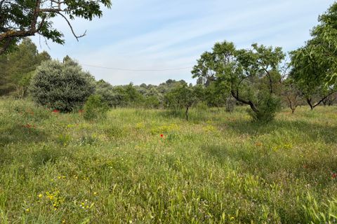 Finca i Asco, Tarragona, Asco - € 23.500 | Ref: Asc08jes - foto 9