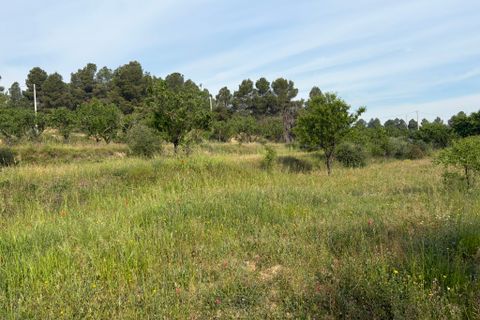 Finca i Asco, Tarragona, Asco - € 23.500 | Ref: Asc08jes - foto 7