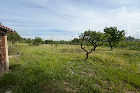 Finca i Asco, Tarragona, Asco - € 23.500 | Ref: Asc08jes - foto 11