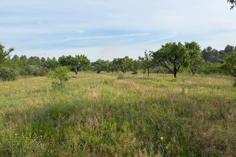 Finca i Asco, Tarragona, Asco - € 23.500 | Ref: Asc08jes - foto 12