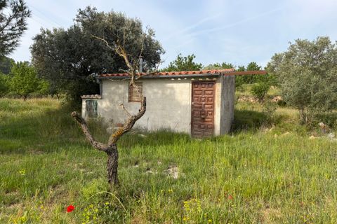 Finca i Asco, Tarragona, Asco - € 23.500 | Ref: Asc08jes - foto 13